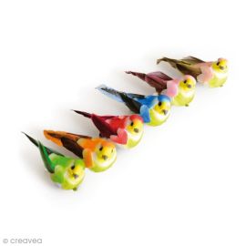 6 mini oiseaux multicolores 