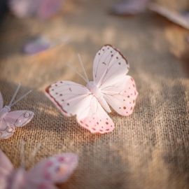10 Papillons mariage degradés Rose 