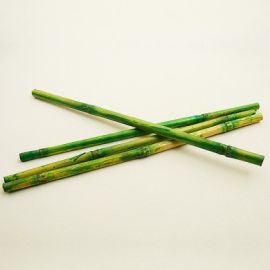 Bambou Vert Anis deco pas cher