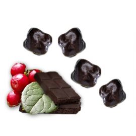 Dragees Cranberry enrobée chocolat noir