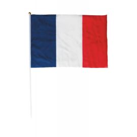Drapeau France avec Manche 30x45cm