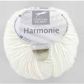 fil à tricoter à tricoter avec cachemire Ecru Cheval Blanc Harmonie