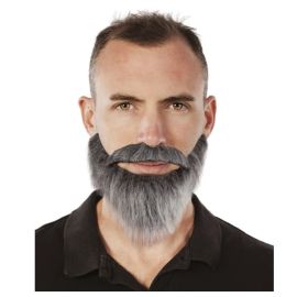 Moustache et barbe - gris