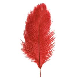 plume autruche - rouge 55-60 cm