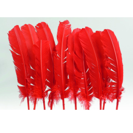 plumes - dinde - rouge x10pcs