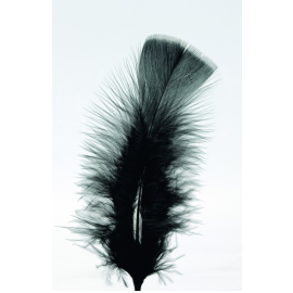 plumes - pieds plats - noir x100pcs