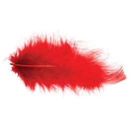 pochette - plumes 5/10 cm - 10g rouge
