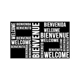 Tapis bienvenue welcome