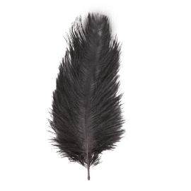 sachet 2 - plumes autruches - noir 30-35 cm