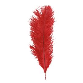 sachet 5 - plumes autruches - rouge 20-25 cm