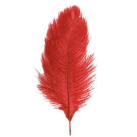 sachet 2 - plumes autruches - rouge 30-35 cm