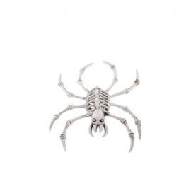 squelette - araignée - 15x20 cm