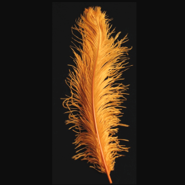 Plumes d'autruche Spadona de couleur Orange, mesurant entre 65 et 70 cm, idéales pour la décoration et l'artisanat, disponibles sur Badaboum.fr.