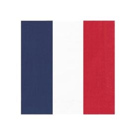 Serviettes 33X33CM France Bleu Blanc Rouge - Lot de 16 | Badaboum.fr