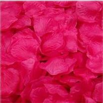 pompon papier de soie rose fushia 25cm pour votre fête décoration