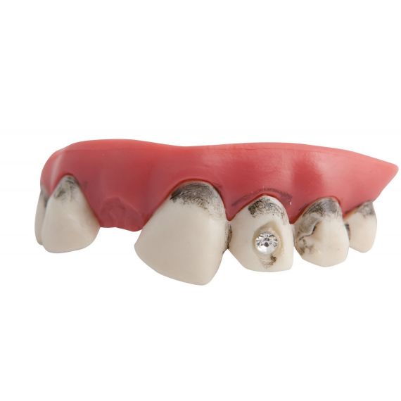 Dentier grande dents : Deguise-toi, achat de
