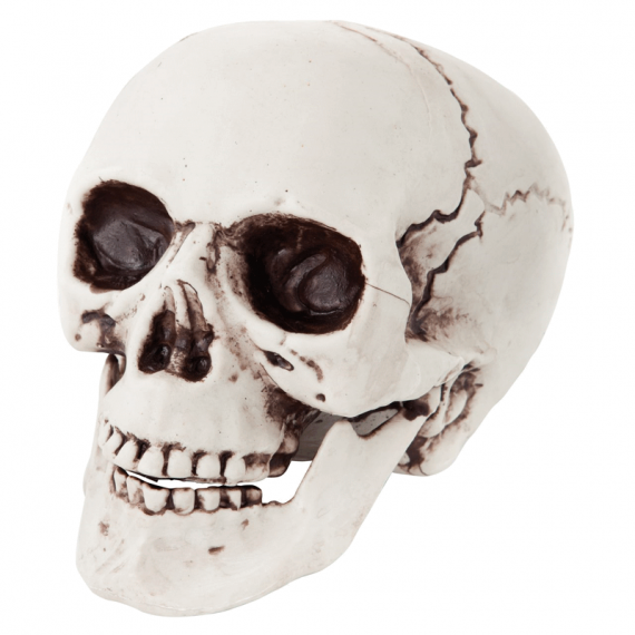 Décoration de table de crâne d'Halloween, accessoire de centre de