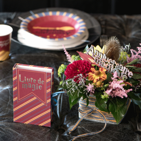 Kit de décoration Harry Potter - Magie du Déguisement - Décoration  anniversaire
