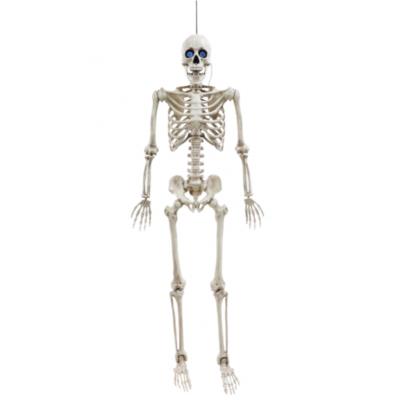 Décoration de fête,Squelette humain en plastique 40cm, modèle